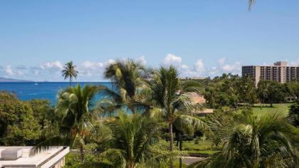 Sheraton Maui Resort & Spa - image 9