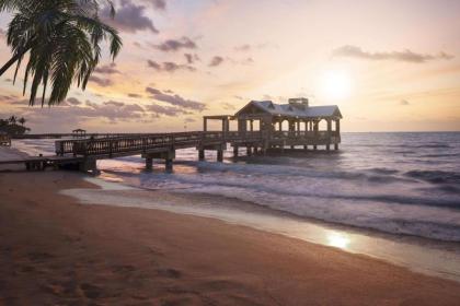 The Reach Key West Curio Collection by Hilton - image 14