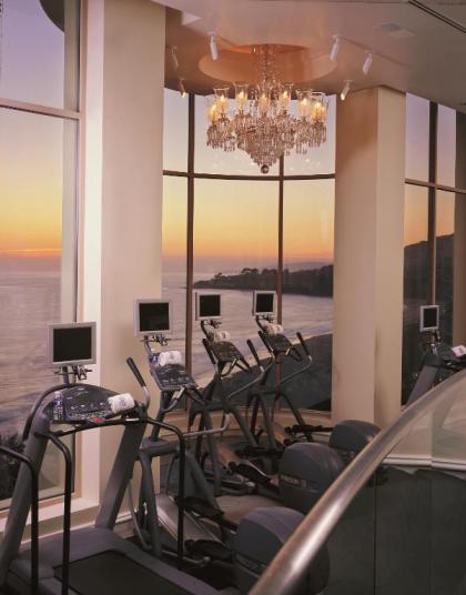 The Ritz-Carlton Laguna Niguel - image 17