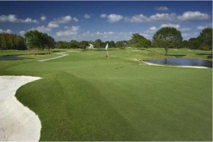 Saddlebrook Golf Resort & Spa Tampa North-Wesley Chapel - image 18