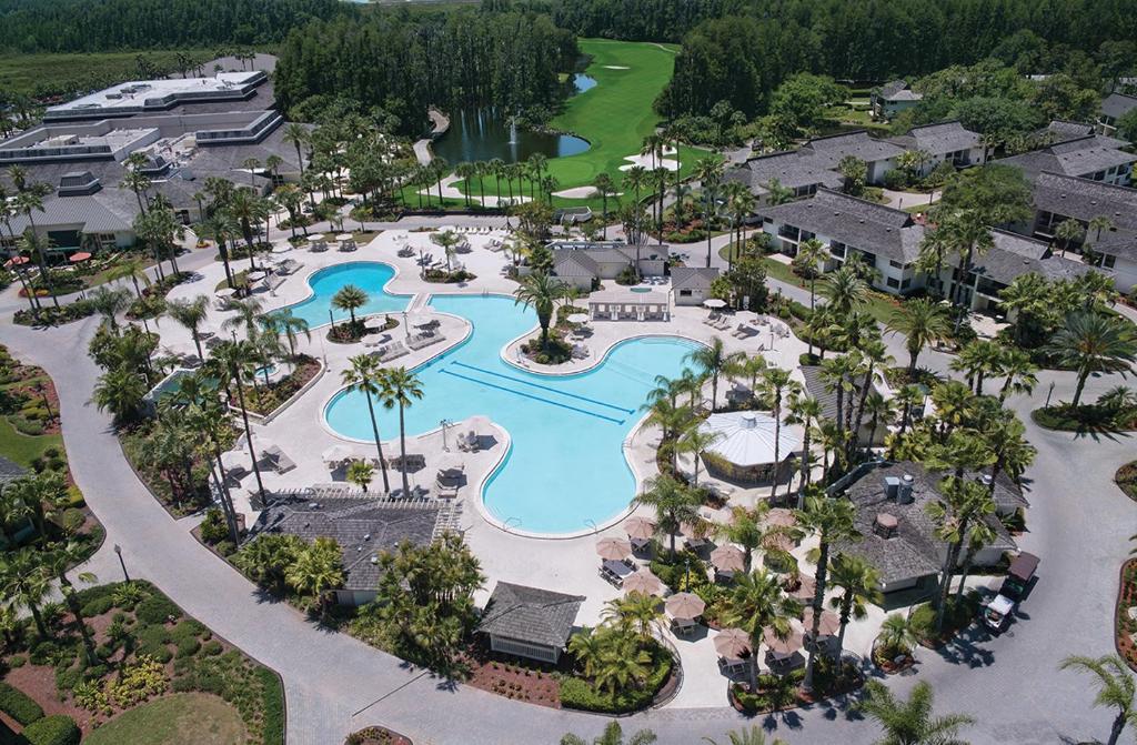 Saddlebrook Golf Resort & Spa Tampa North-Wesley Chapel - image 5