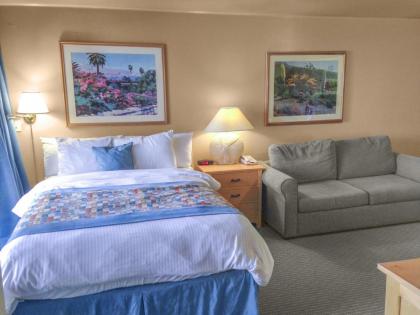 Palm Canyon Resort by Diamond Resorts - image 12