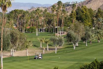 Palm Canyon Resort by Diamond Resorts - image 8