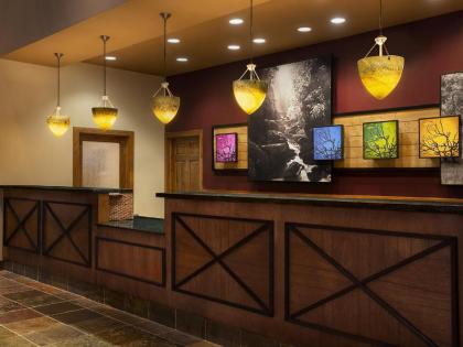 Marriott's Willow Ridge Lodge - image 11