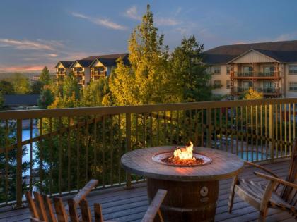 Marriott's Willow Ridge Lodge - image 14