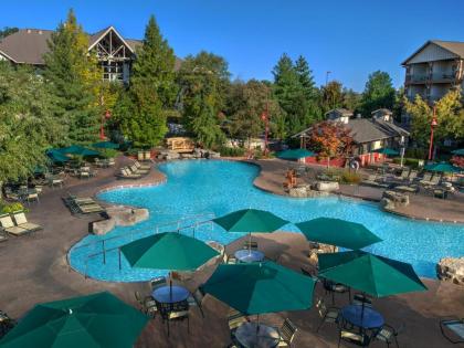 Marriott's Willow Ridge Lodge - image 19