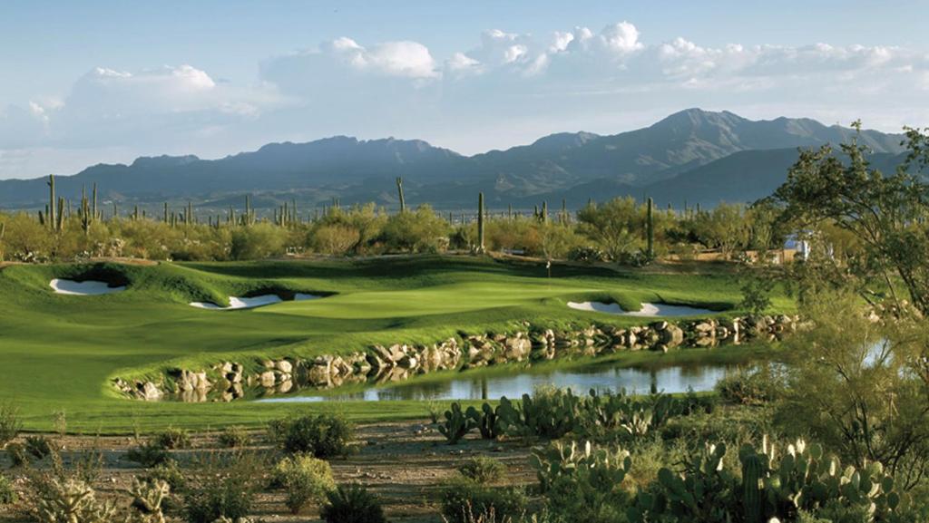 The Ritz-Carlton Dove Mountain - image 2