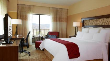 MeadowView Marriott Conference Resort and Convention Center - image 11