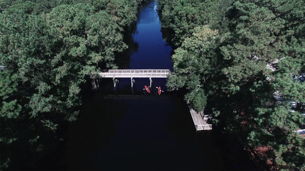 Marriott Hilton Head Resort & Spa - image 7