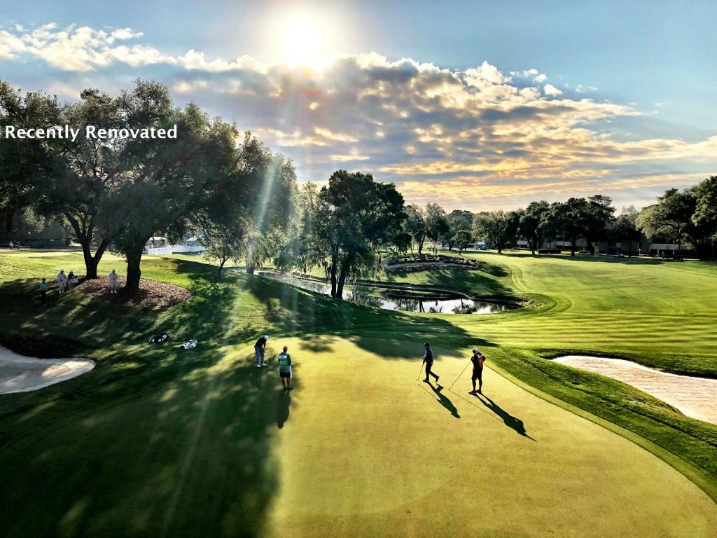 Innisbrook A Salamander Golf & Spa Resort - main image