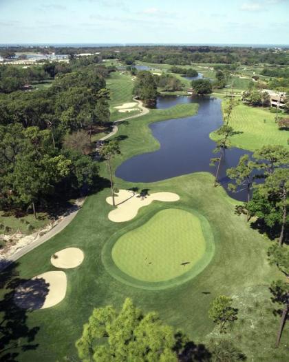 Innisbrook A Salamander Golf & Spa Resort - image 14