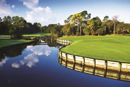 Innisbrook A Salamander Golf & Spa Resort - image 15