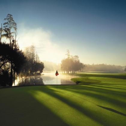 Innisbrook A Salamander Golf & Spa Resort - image 16