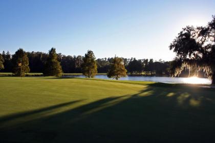 Innisbrook A Salamander Golf & Spa Resort - image 17