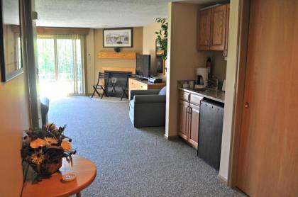 Nordic Village Condominium Resort - image 14