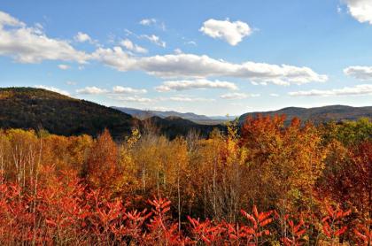 Nordic Village Condominium Resort - image 16