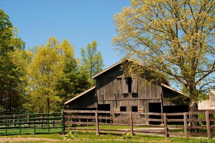 The Resort at Glade Springs - image 15