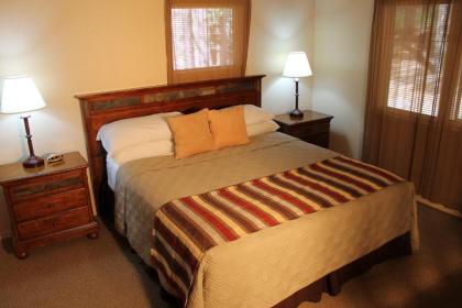 Mount Shasta Resort - image 13