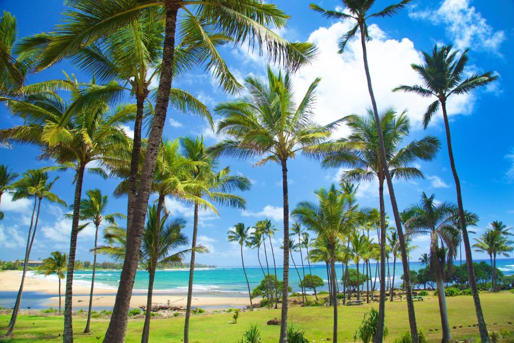 Hilton Garden Inn Kauai Wailua Bay HI - image 3