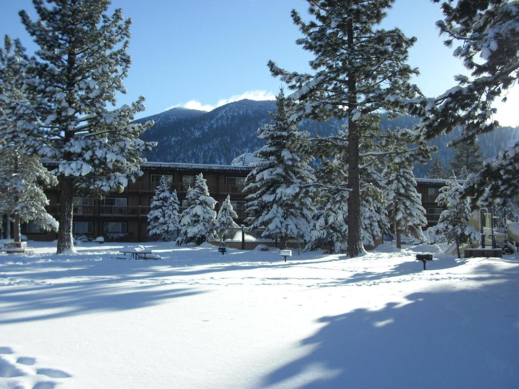 The Tahoe Beach & Ski Club Owners Association - image 3