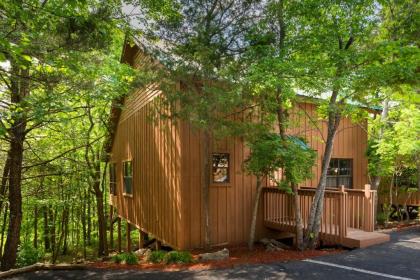 Cabins at Green Mountain Trademark Collection by Wyndham - image 2