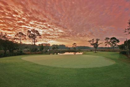 The King and Prince Beach & Golf Resort - image 8