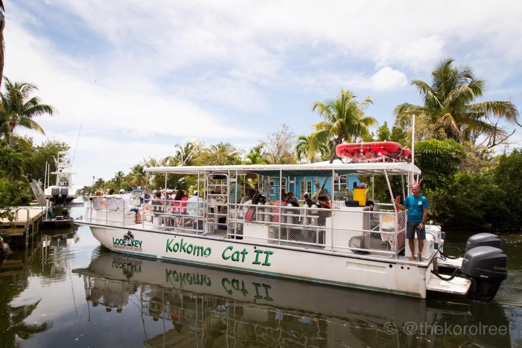 Looe Key Reef Resort and Dive Center - image 7