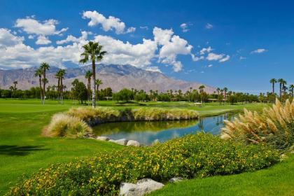 DoubleTree by Hilton Golf Resort Palm Springs - image 16