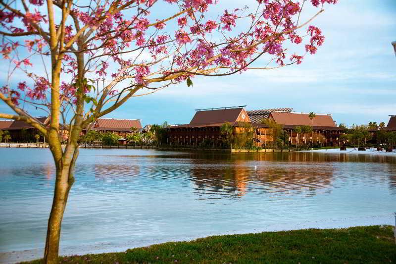 Disney's Polynesian Village Resort - image 2