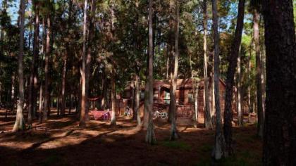 The Cabins at Disney's Fort Wilderness Resort - image 14