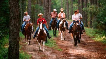 The Cabins at Disney's Fort Wilderness Resort - image 17