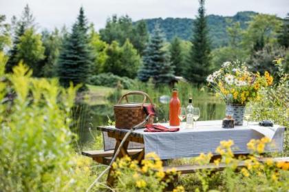 The Whiteface Lodge - image 17