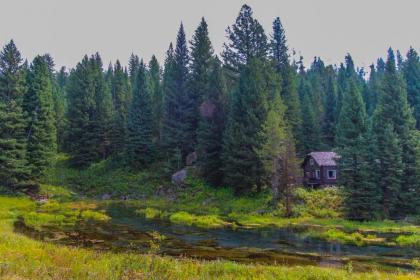 Timbers at Island Park - image 14