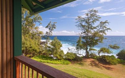 Hana-Maui Resort a Destination by Hyatt Residence - image 15