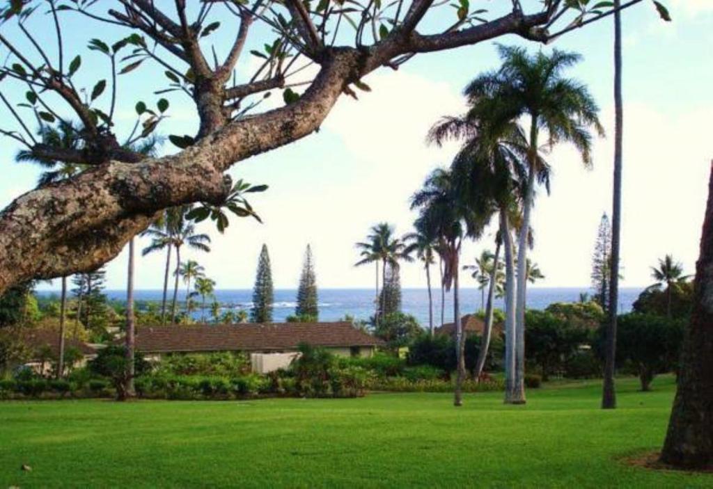 Hana-Maui Resort a Destination by Hyatt Residence - image 2