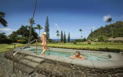 Hana-Maui Resort a Destination by Hyatt Residence - image 4