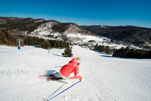 Woodstock Inn & Resort - image 5