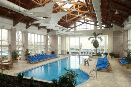 Hyatt Regency Chesapeake Bay Golf Resort Spa & Marina - image 7