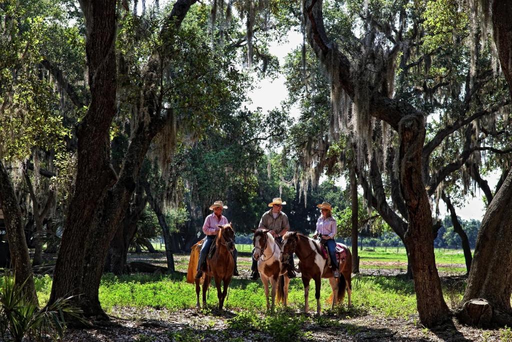 Westgate River Ranch Resort & Rodeo - main image