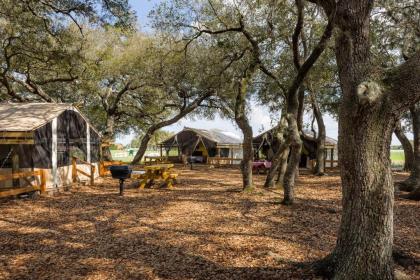 Westgate River Ranch Resort & Rodeo - image 3