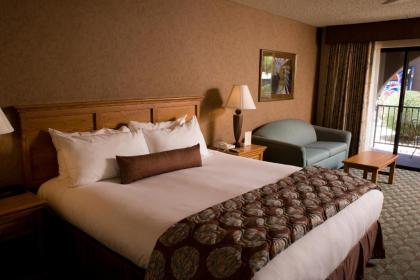 Borrego Springs Resort and Spa - image 15