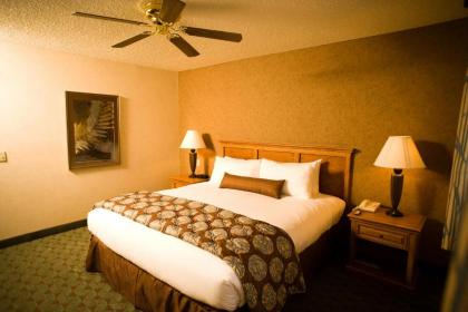 Borrego Springs Resort and Spa - image 16