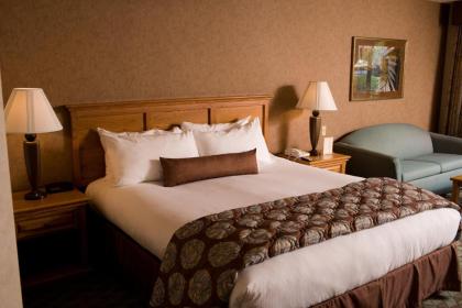 Borrego Springs Resort and Spa - image 20