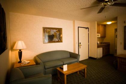 Borrego Springs Resort and Spa - image 9