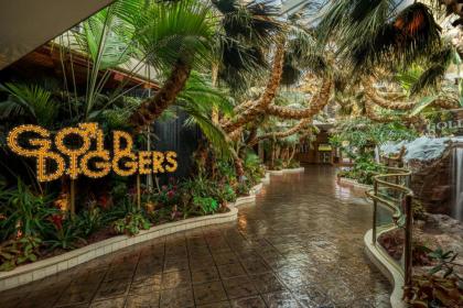 Golden Nugget Laughlin - image 3