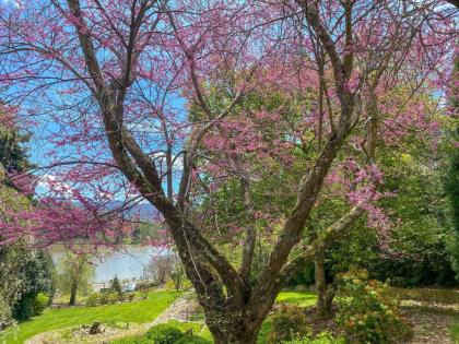 The Terrace at Lake Junaluska - image 8