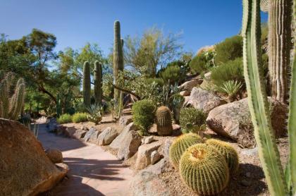 The Canyon Suites at The Phoenician a Luxury Collection Resort Scottsdale - image 15