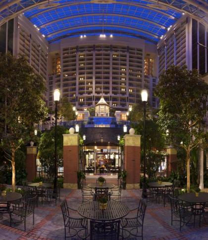 Gaylord National Resort & Convention Center - image 18