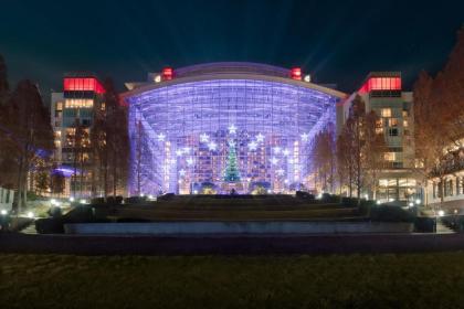 Gaylord National Resort & Convention Center - image 20