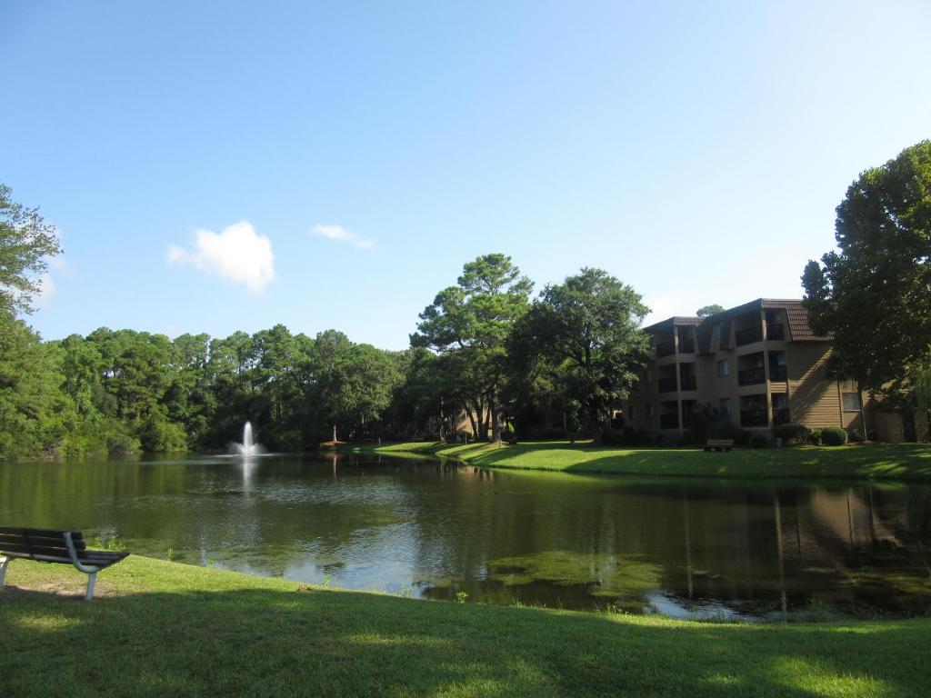 Hilton Head Island Beach and Tennis Resort - image 4